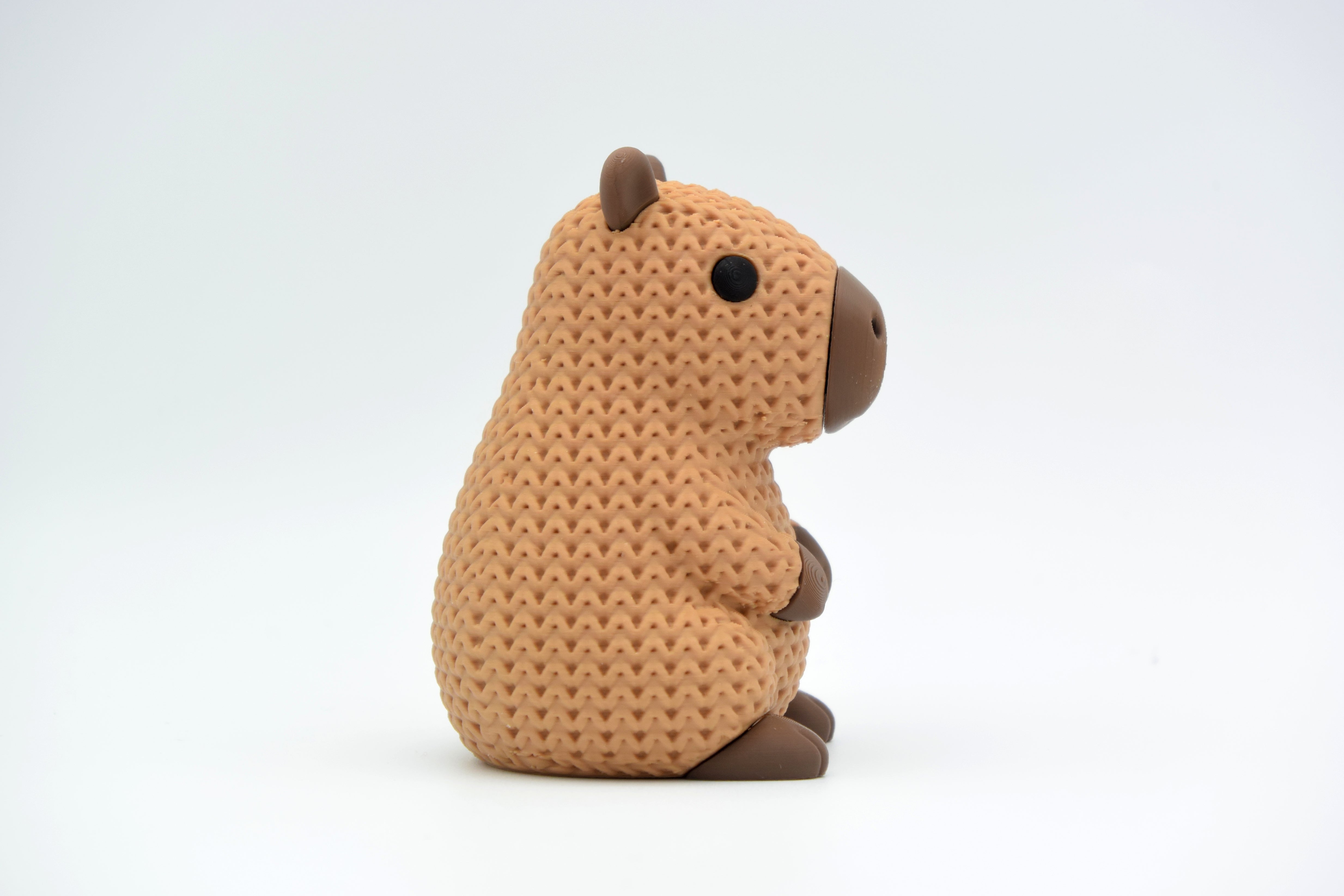 Capybara